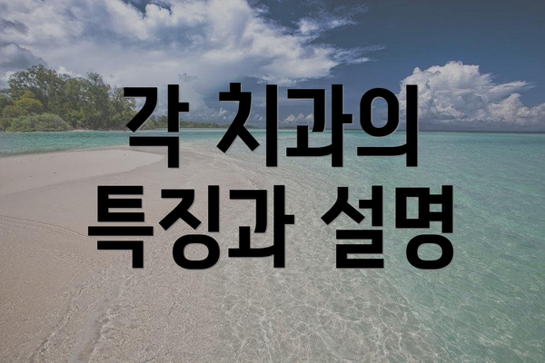 각 치과의 특징과 설명