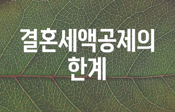 결혼세액공제의 한계