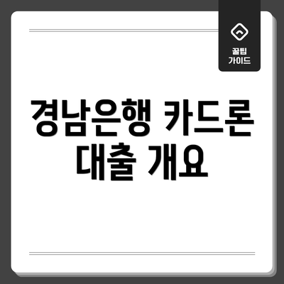 경남은행 카드론 대출 개요