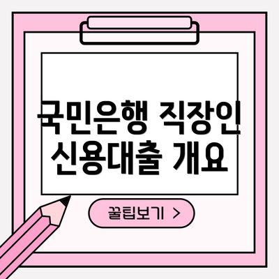 국민은행 직장인 신용대출 개요