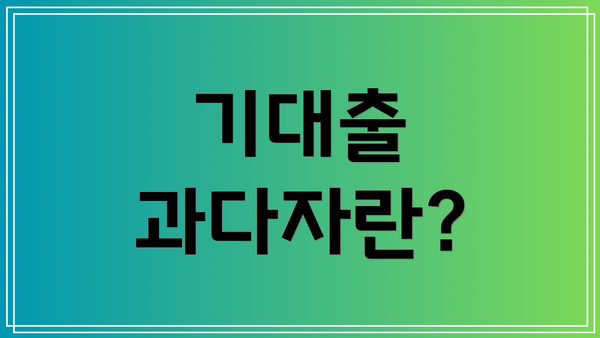 기대출 과다자란?