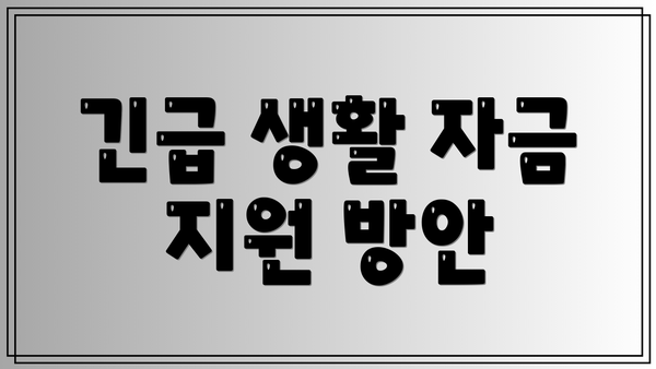 긴급 생활 자금 지원 방안