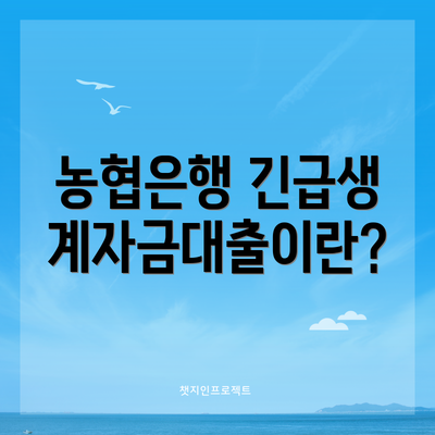 농협은행 긴급생계자금대출이란?