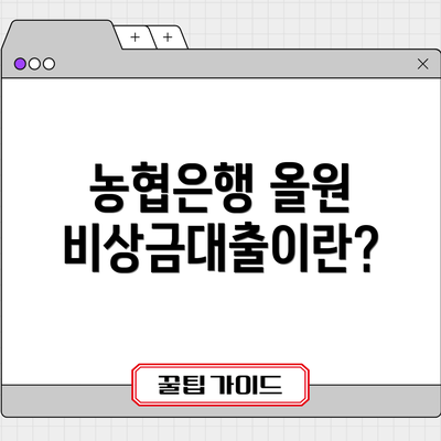 농협은행 올원 비상금대출이란?