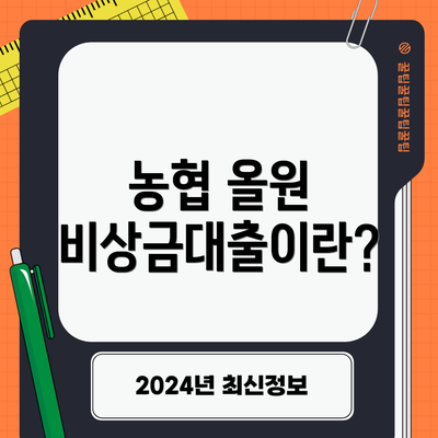 농협 올원 비상금대출이란?