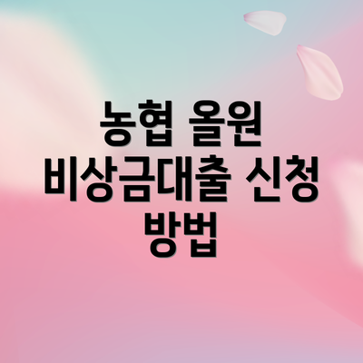 농협 올원 비상금대출 신청 방법