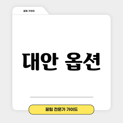 대안 옵션