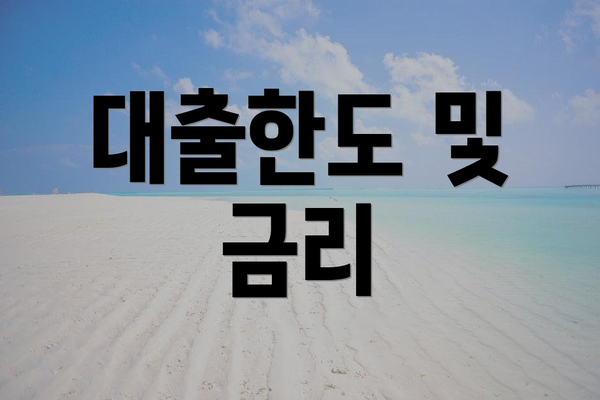 대출한도 및 금리