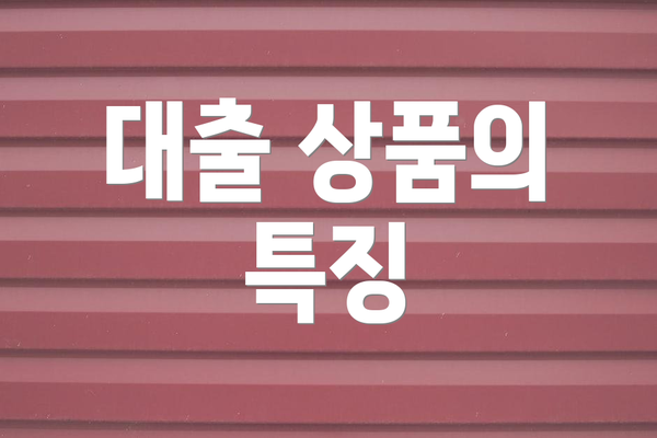 대출 상품의 특징