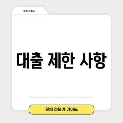 대출 제한 사항