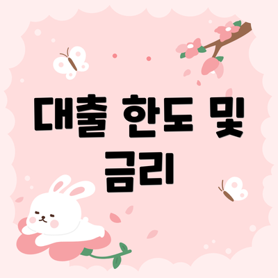 대출 한도 및 금리