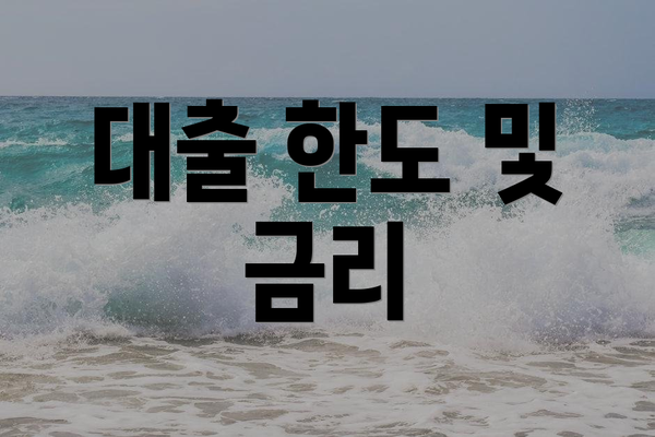 대출 한도 및 금리