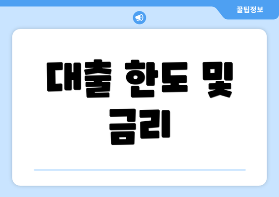 대출 한도 및 금리