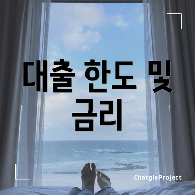 대출 한도 및 금리