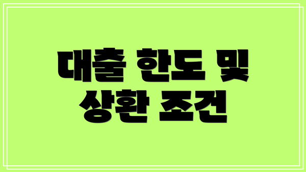 대출 한도 및 상환 조건