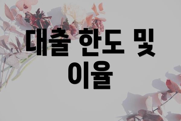대출 한도 및 이율