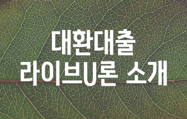 대환대출 라이브U론 소개