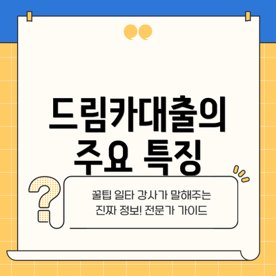 드림카대출의 주요 특징