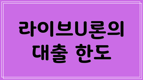 라이브U론의 대출 한도
