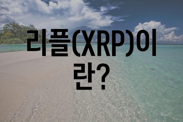 리플(XRP)이란?