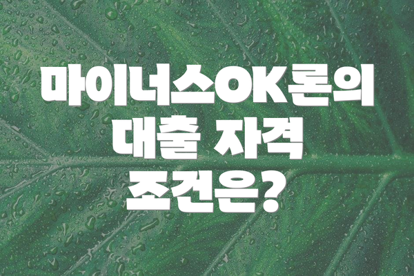 마이너스OK론의 대출 자격 조건은?