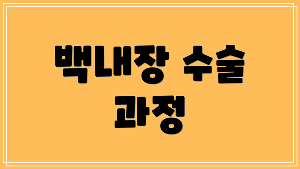 백내장 수술 과정