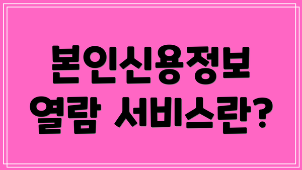 본인신용정보 열람 서비스란?