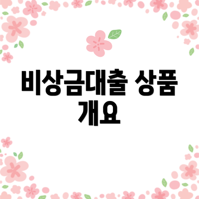 비상금대출 상품 개요