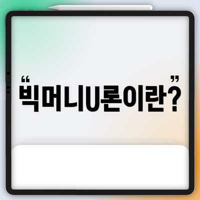 빅머니U론이란?