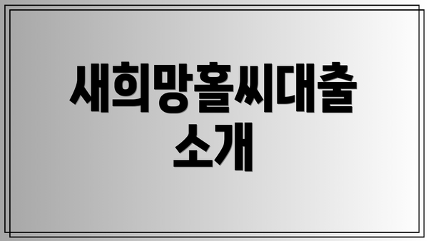 새희망홀씨대출 소개