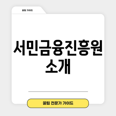 서민금융진흥원 소개