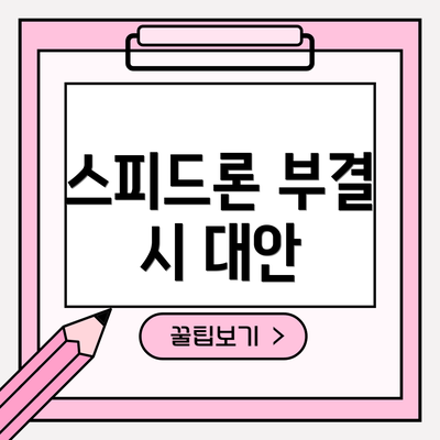 스피드론 부결 시 대안