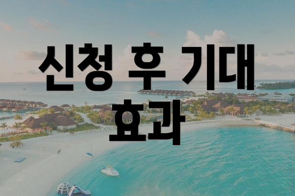 신청 후 기대 효과