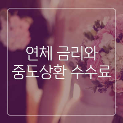 연체 금리와 중도상환 수수료