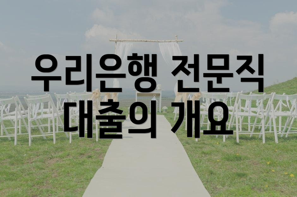 우리은행 전문직 대출의 개요