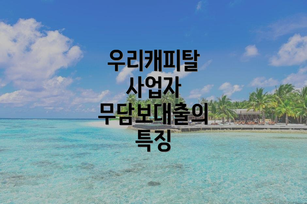 우리캐피탈 사업자 무담보대출의 특징