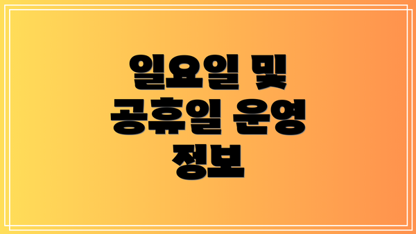 일요일 및 공휴일 운영 정보