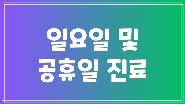 일요일 및 공휴일 진료