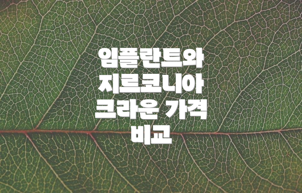 임플란트와 지르코니아 크라운 가격 비교