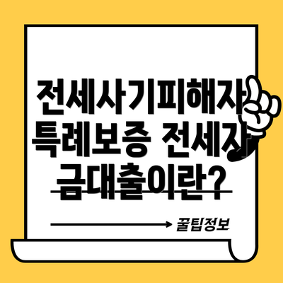 전세사기피해자 특례보증 전세자금대출이란?
