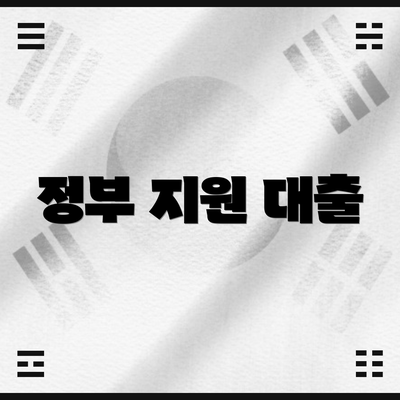 정부 지원 대출