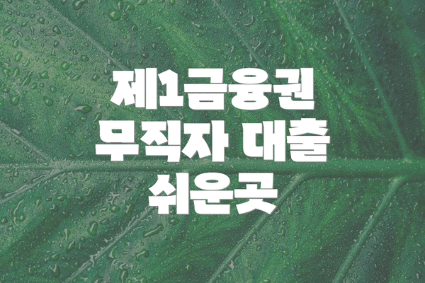 제1금융권 무직자 대출 쉬운곳