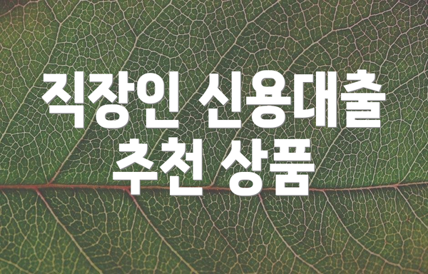 직장인 신용대출 추천 상품