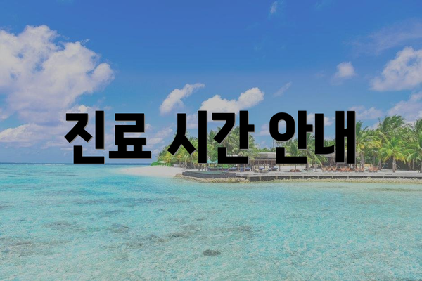 진료 시간 안내