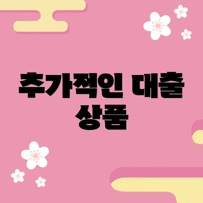 추가적인 대출 상품