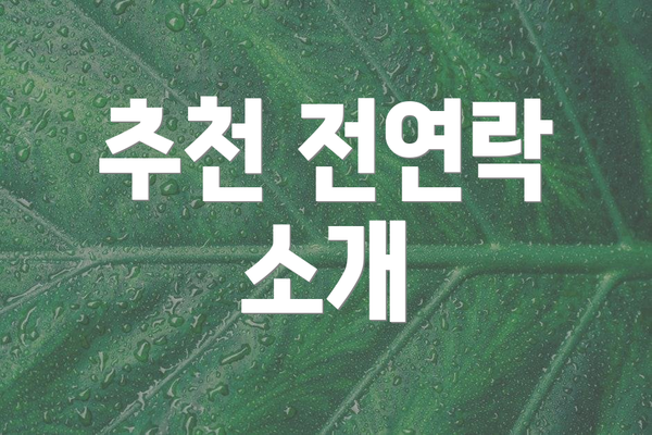 추천 전연락 소개