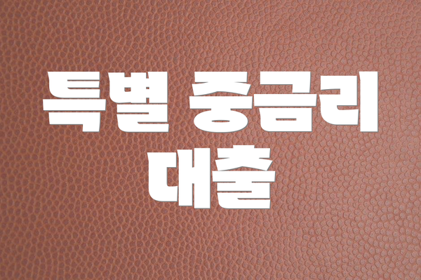 특별 중금리 대출