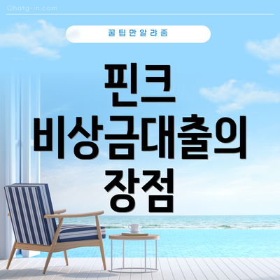 핀크 비상금대출의 장점