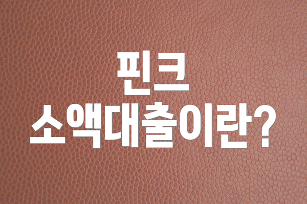 핀크 소액대출이란?