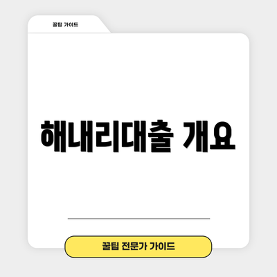 해내리대출 개요